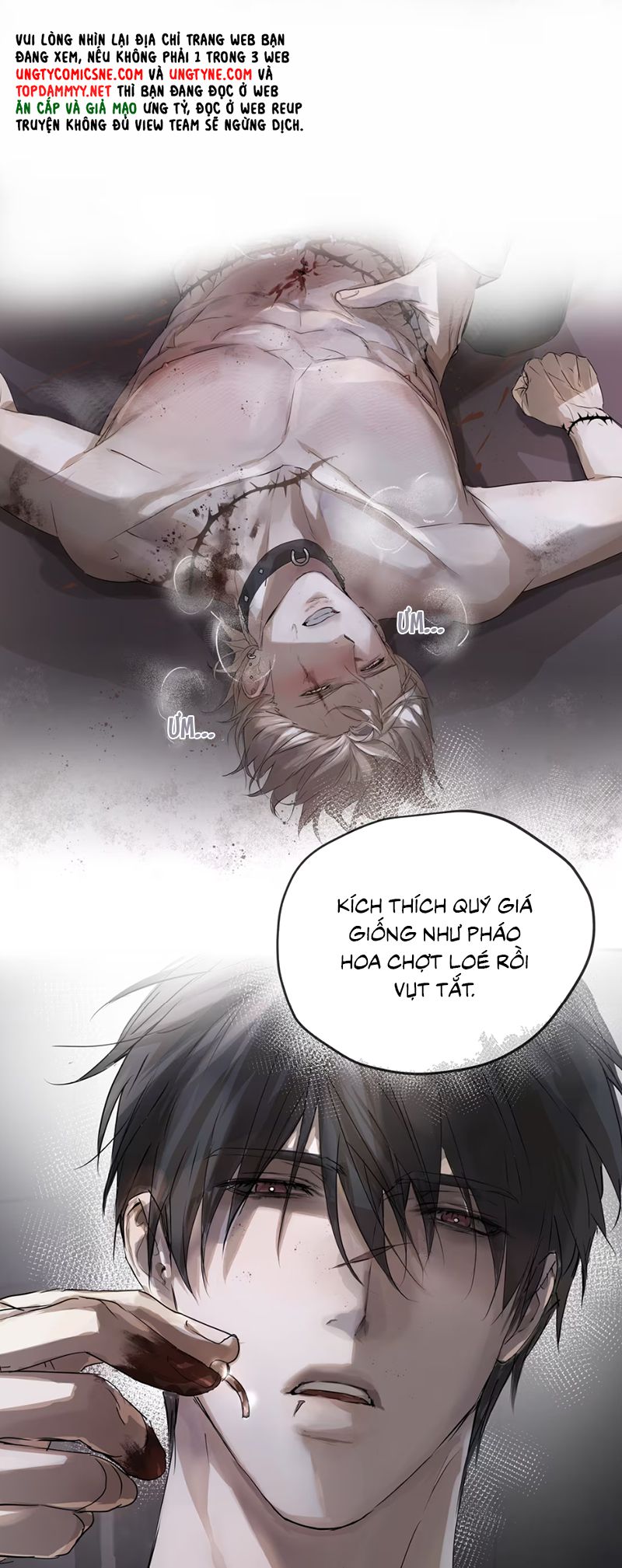 Bị Chó Điên Phát Hiện Tôi Là Đồng Loại Chap 4 - Trang 2