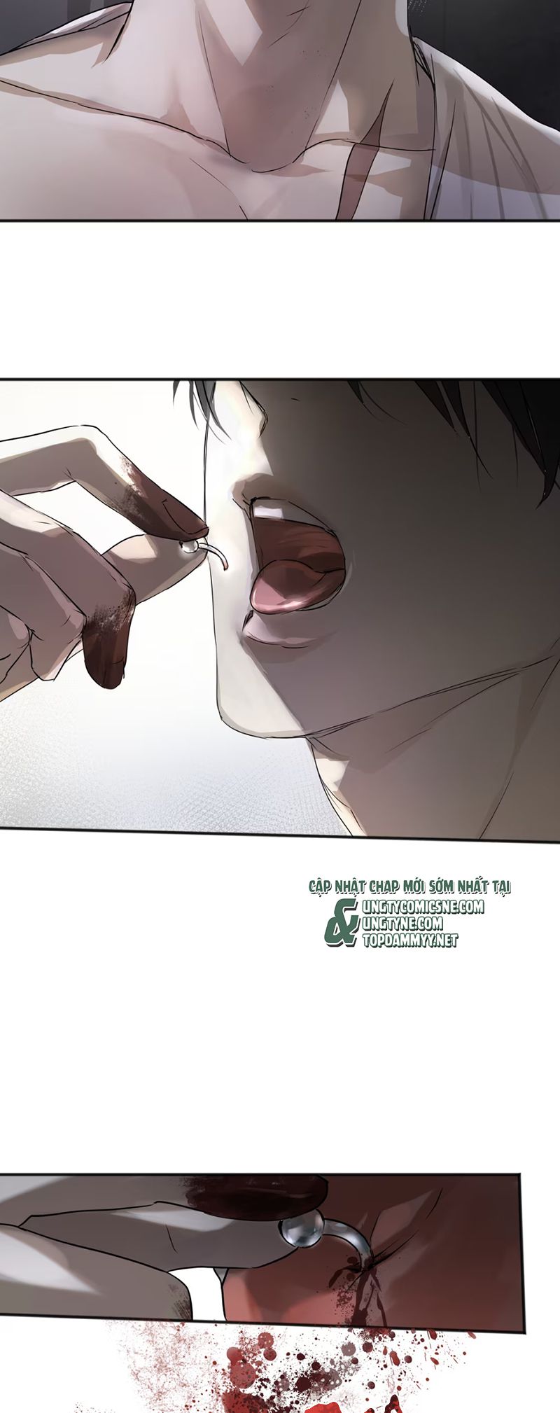 Bị Chó Điên Phát Hiện Tôi Là Đồng Loại Chap 4 - Trang 2