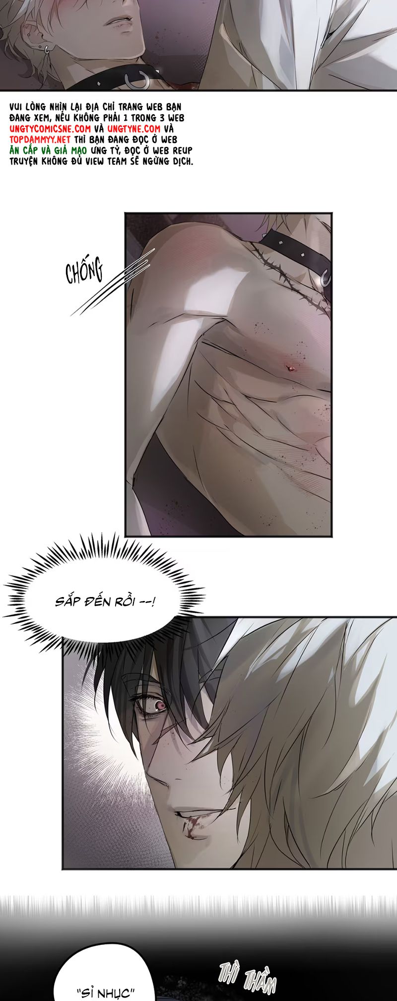 Bị Chó Điên Phát Hiện Tôi Là Đồng Loại Chap 4 - Trang 2