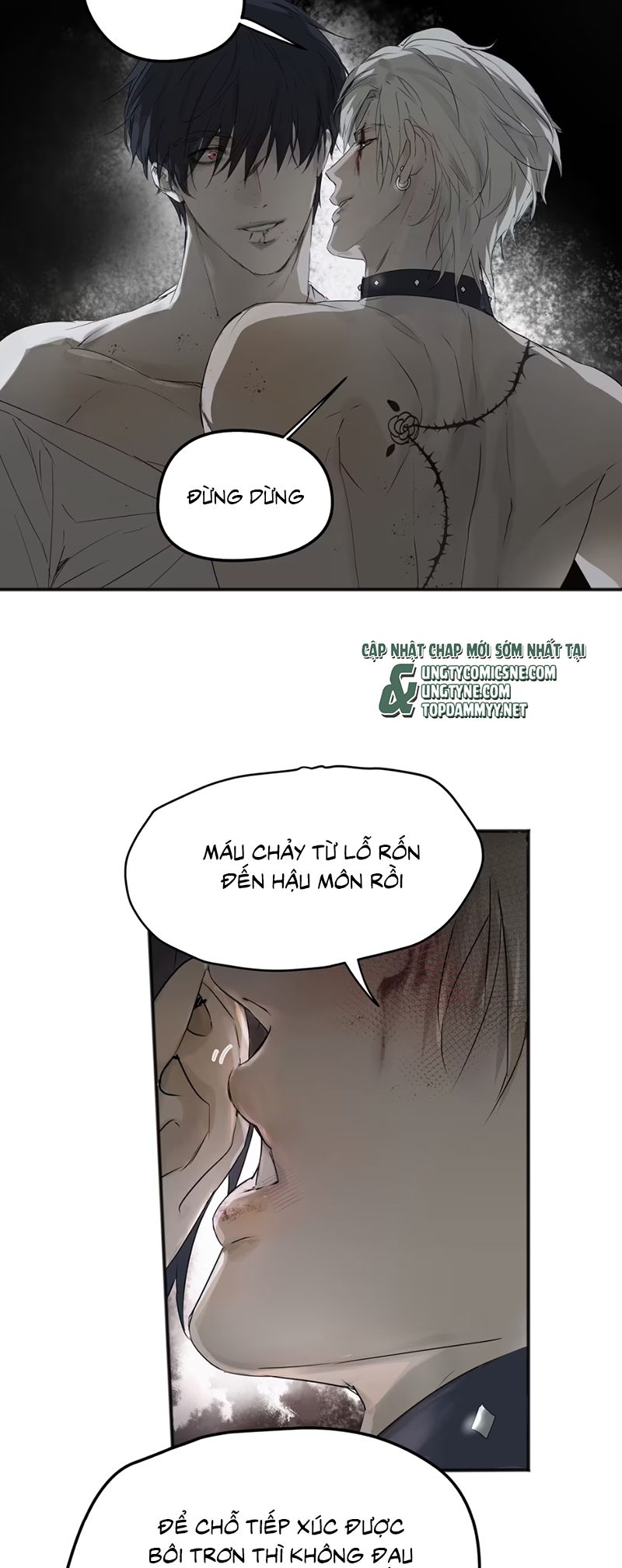 Bị Chó Điên Phát Hiện Tôi Là Đồng Loại Chap 4 - Trang 2