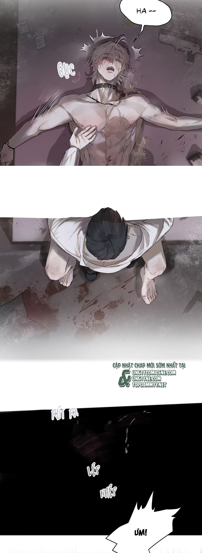 Bị Chó Điên Phát Hiện Tôi Là Đồng Loại Chap 4 - Trang 2