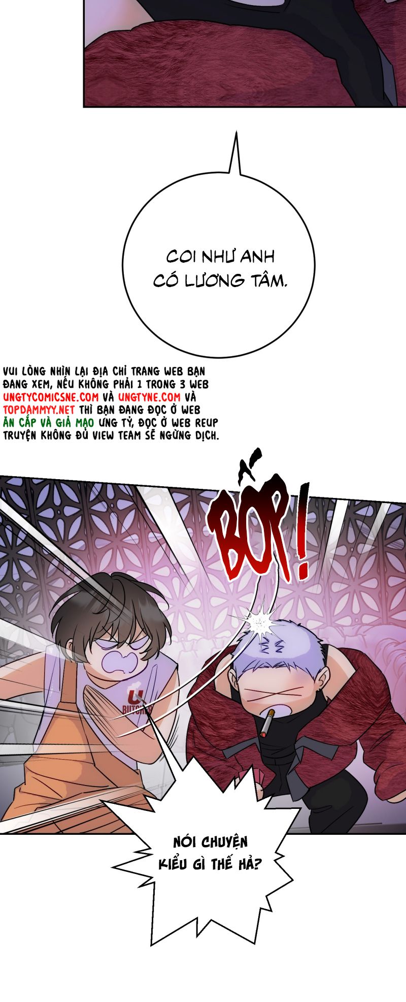 Xuyên Thành Con Ngỗng Vàng Của Đại Lão Alpha Chap 17 - Next 