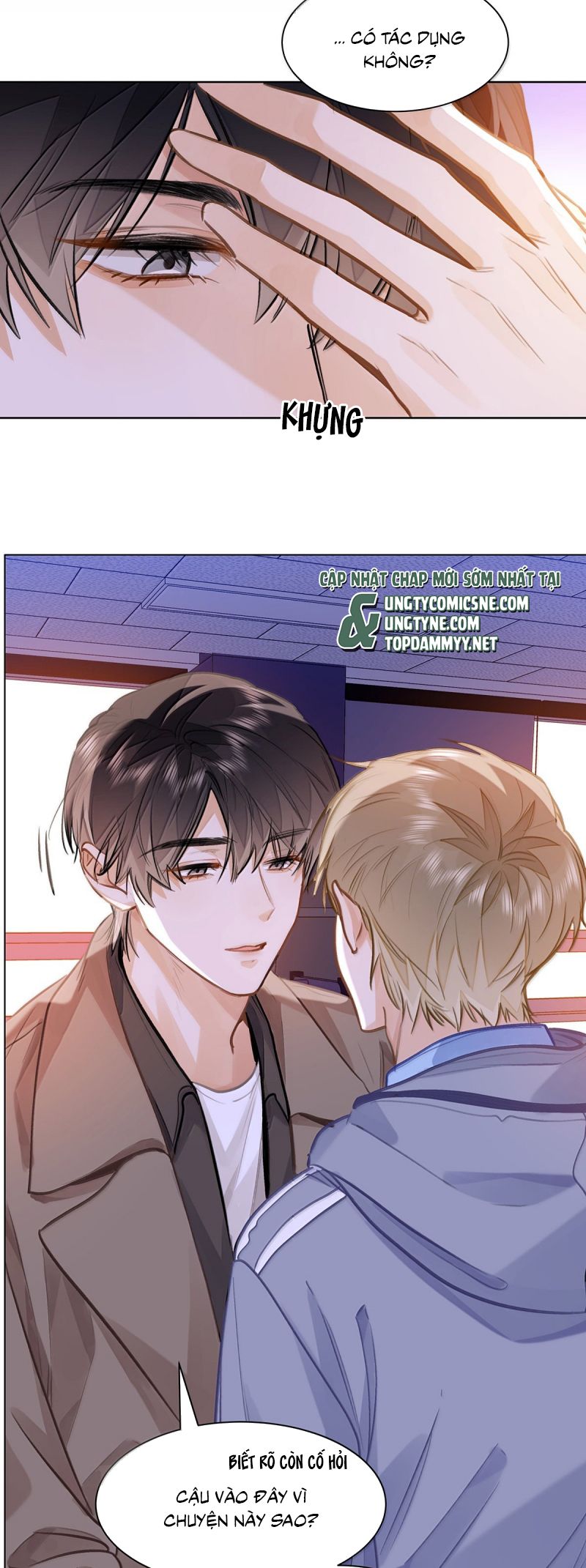 Tôi Thích Tin Tức Tố Của Cậu Chap 83 - Next 