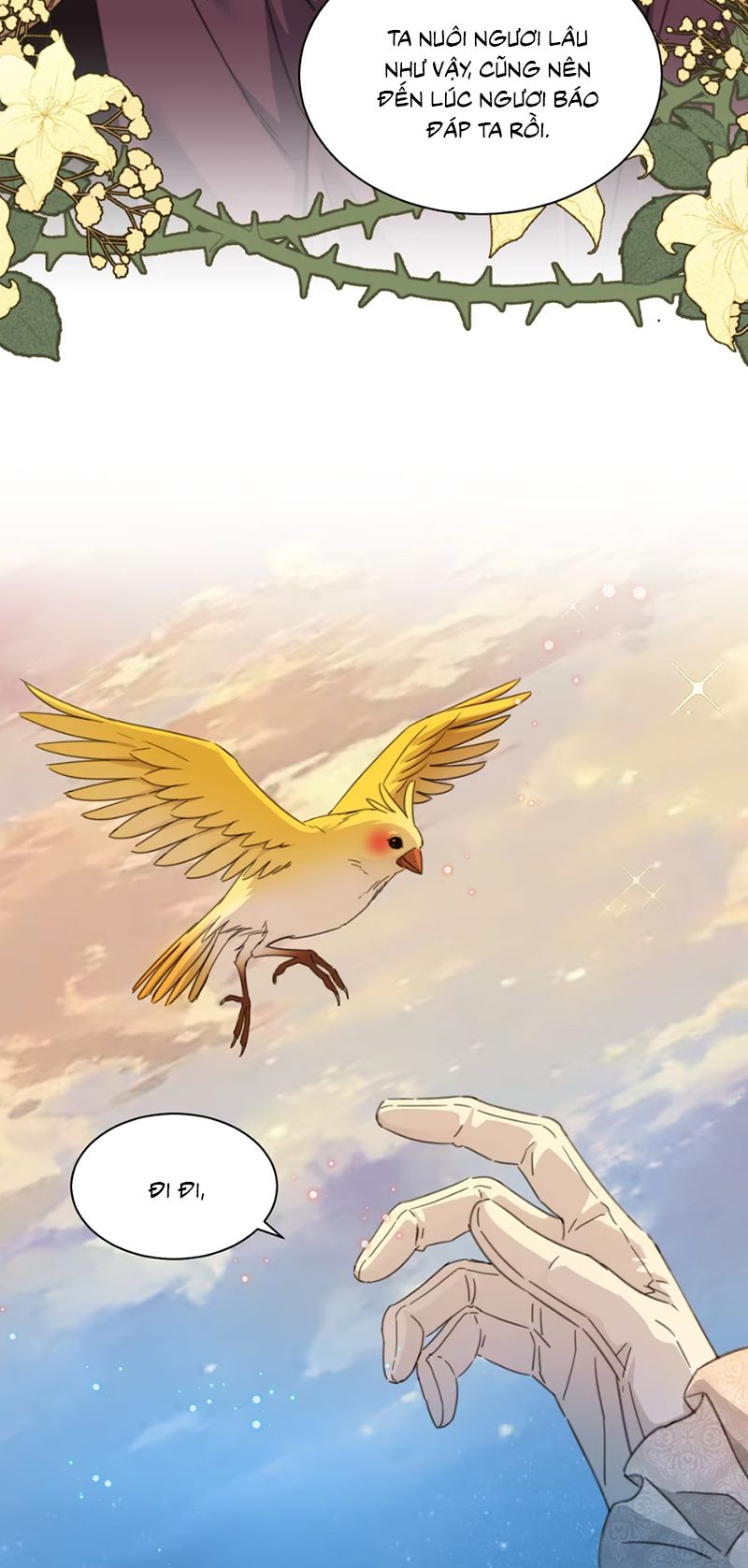 Vương Tử Bệnh Kiều Bị Báo Đen Chiếm Đoạt Đến Nghiện Chapter 7 - Next 