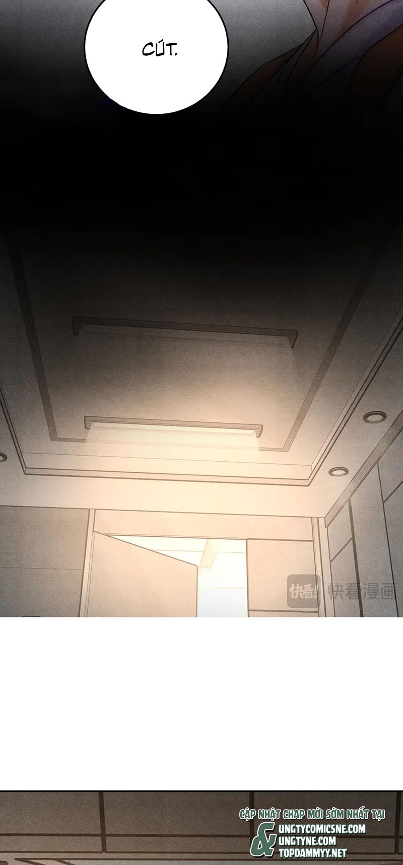 Xuyên Thành Con Ngỗng Vàng Của Đại Lão Alpha Chap 18 - Next 