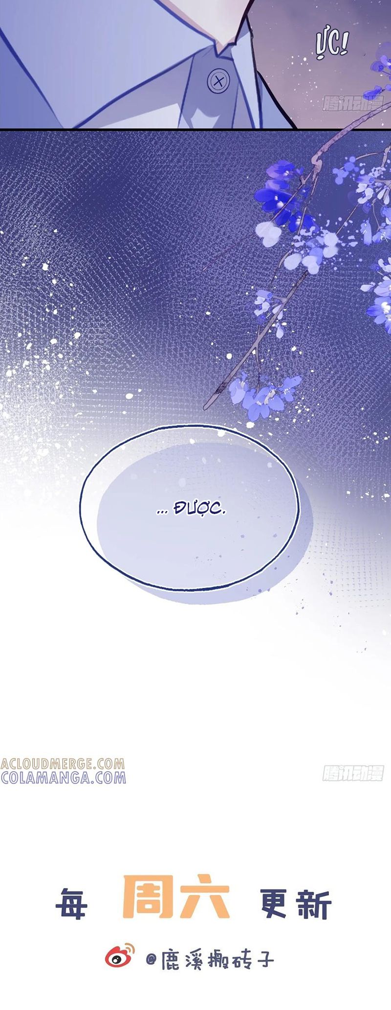 Anh Ấy Chưa Từng Rơi Xuống Chap 135 - Next 