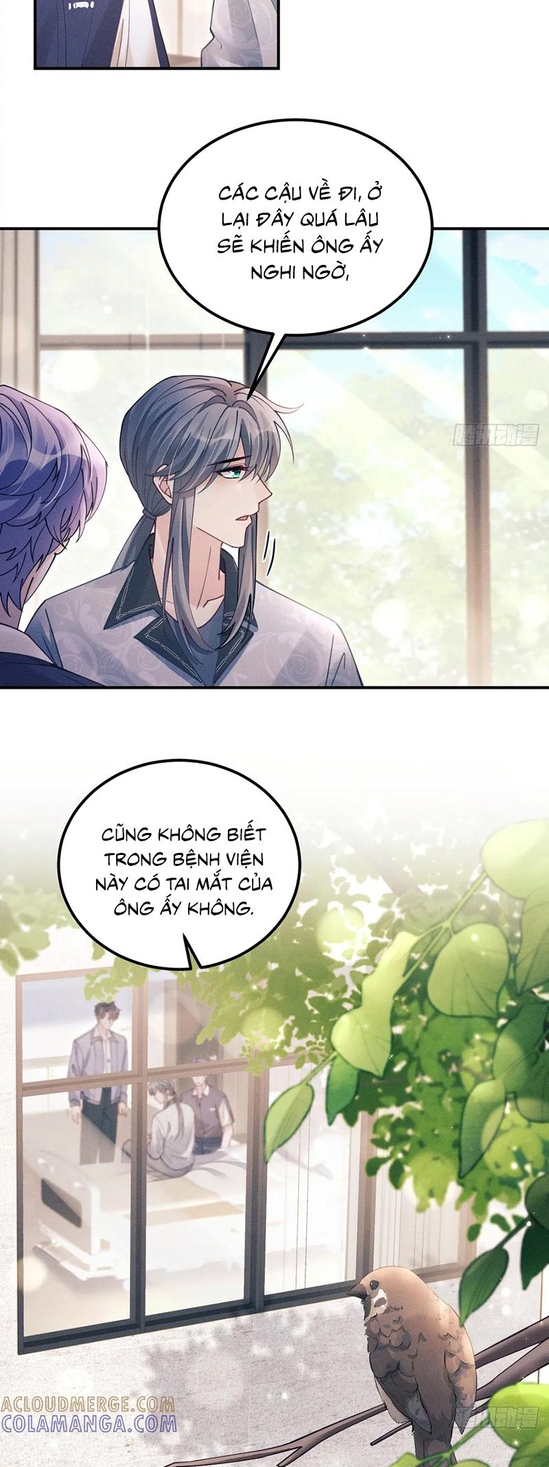 Tôi Hoài Nghi Ảnh Đế Đang Theo Đuổi Tôi Chap 202 - Next 