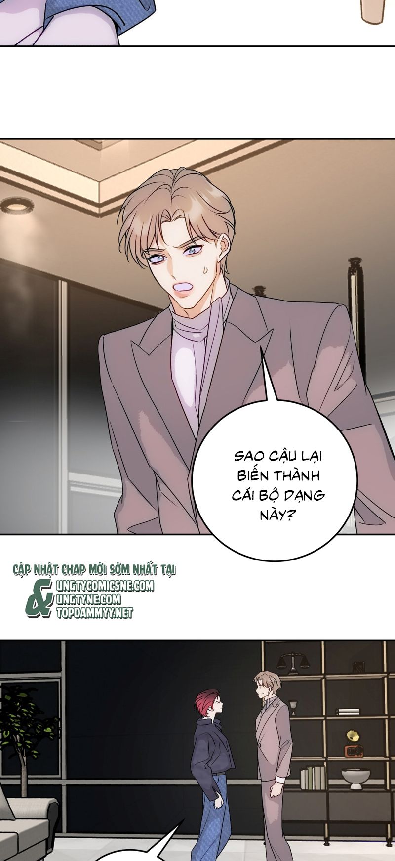 Xuyên Thành Con Ngỗng Vàng Của Đại Lão Alpha Chap 19 - Next 