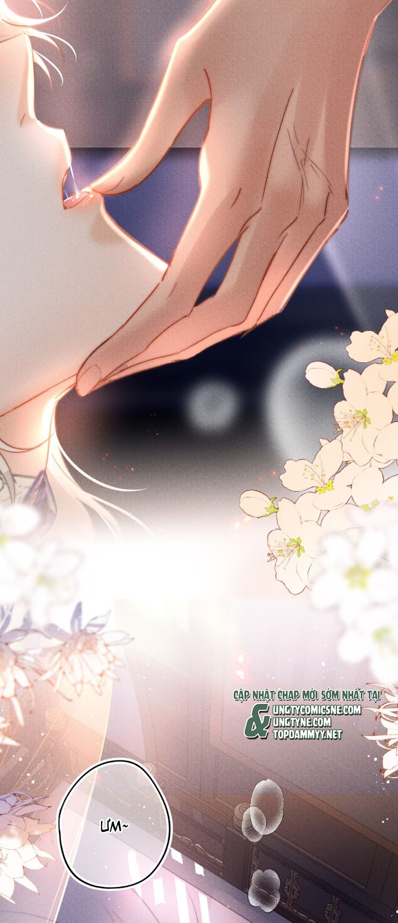 Chỉ Dẫn Săn Mồi Chap 2 - Next 