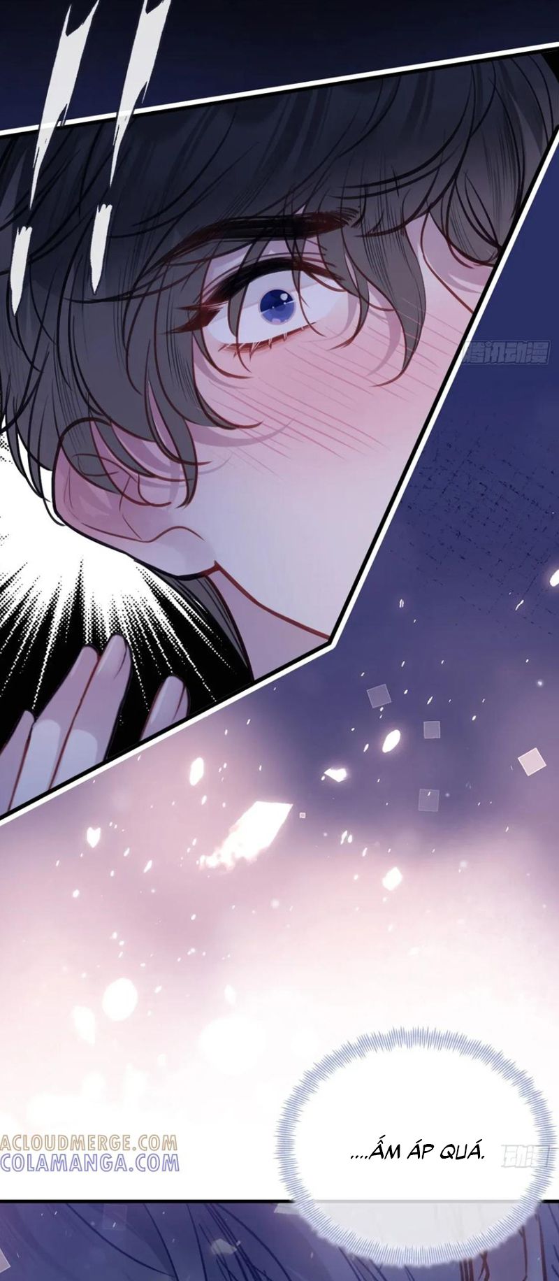 Anh Ấy Chưa Từng Rơi Xuống Chap 136 - Next 