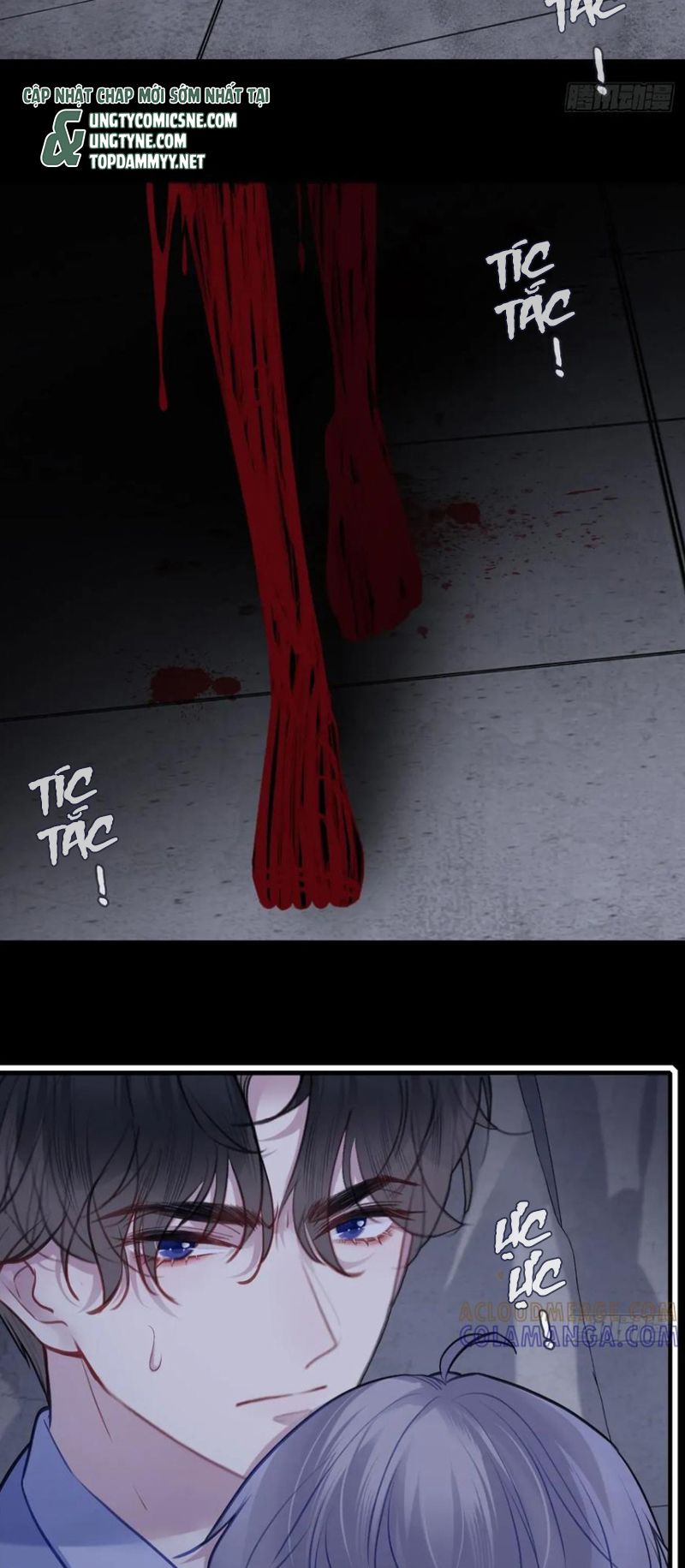 Anh Ấy Chưa Từng Rơi Xuống Chap 136 - Next 