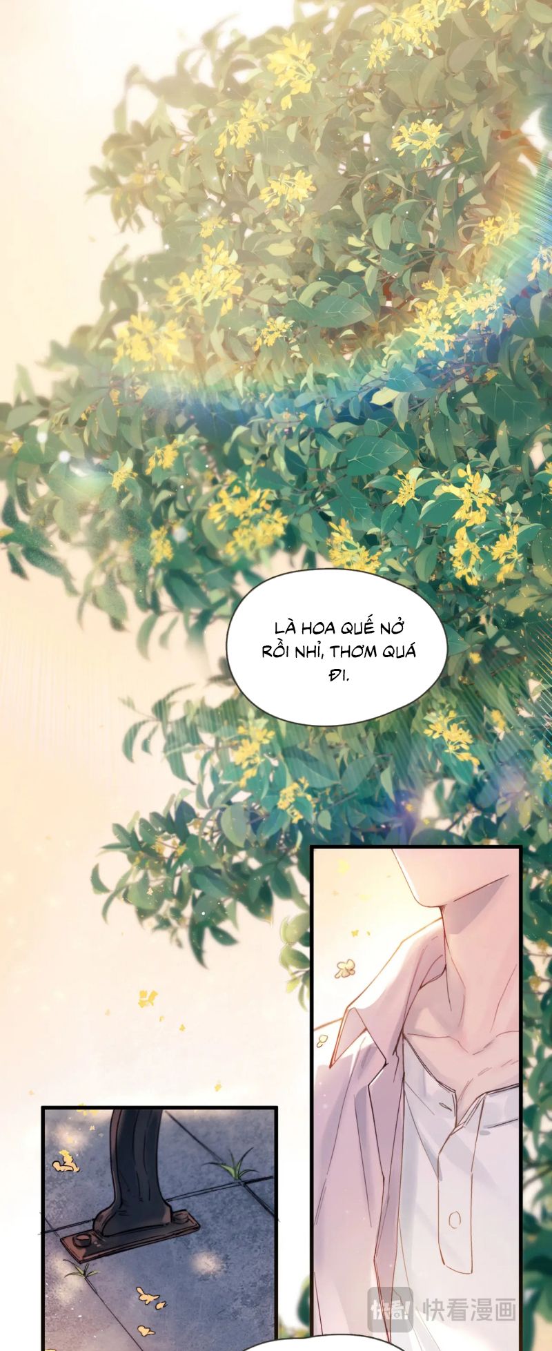 Tinh Vệ Chap 37 - Next 