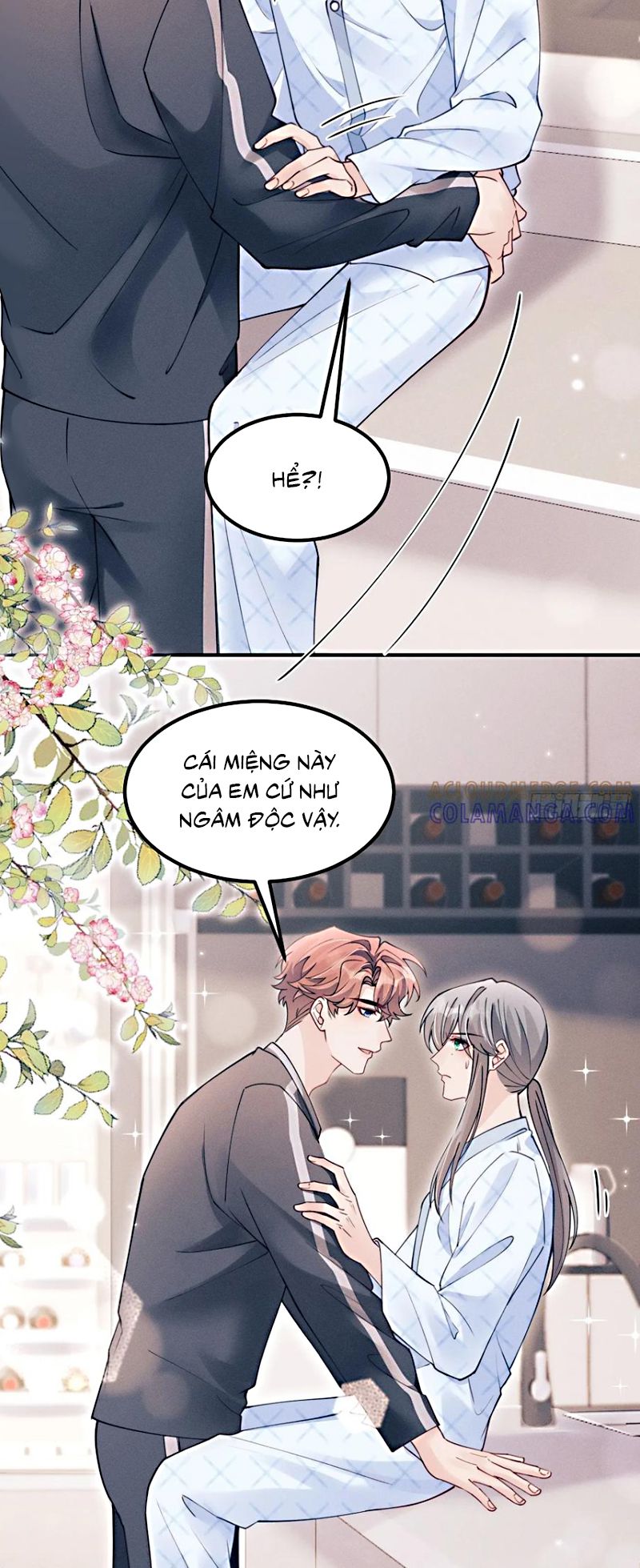 Tôi Hoài Nghi Ảnh Đế Đang Theo Đuổi Tôi Chap 204 - Trang 2