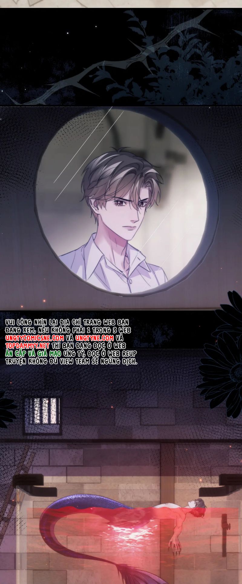 Desharow Nhân Ngư Chap 110 - Trang 3