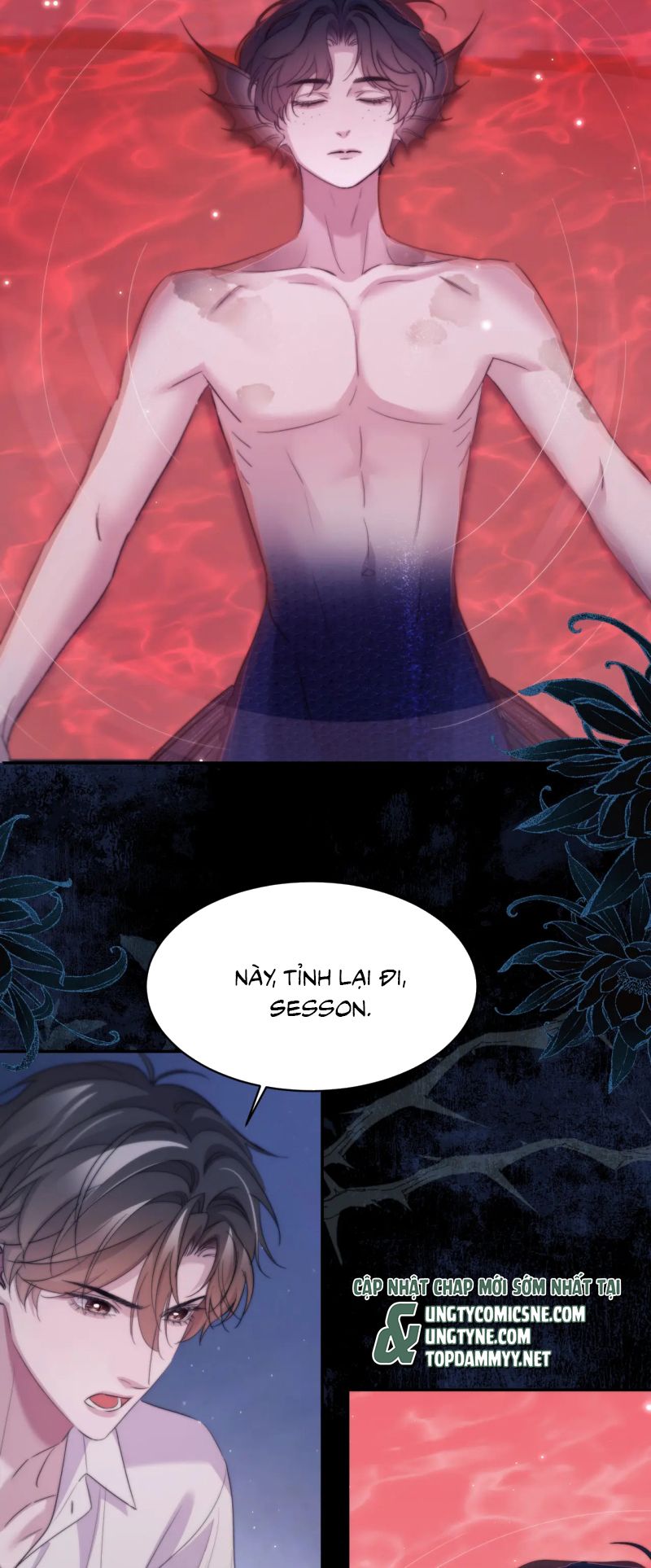 Desharow Nhân Ngư Chap 110 - Trang 3