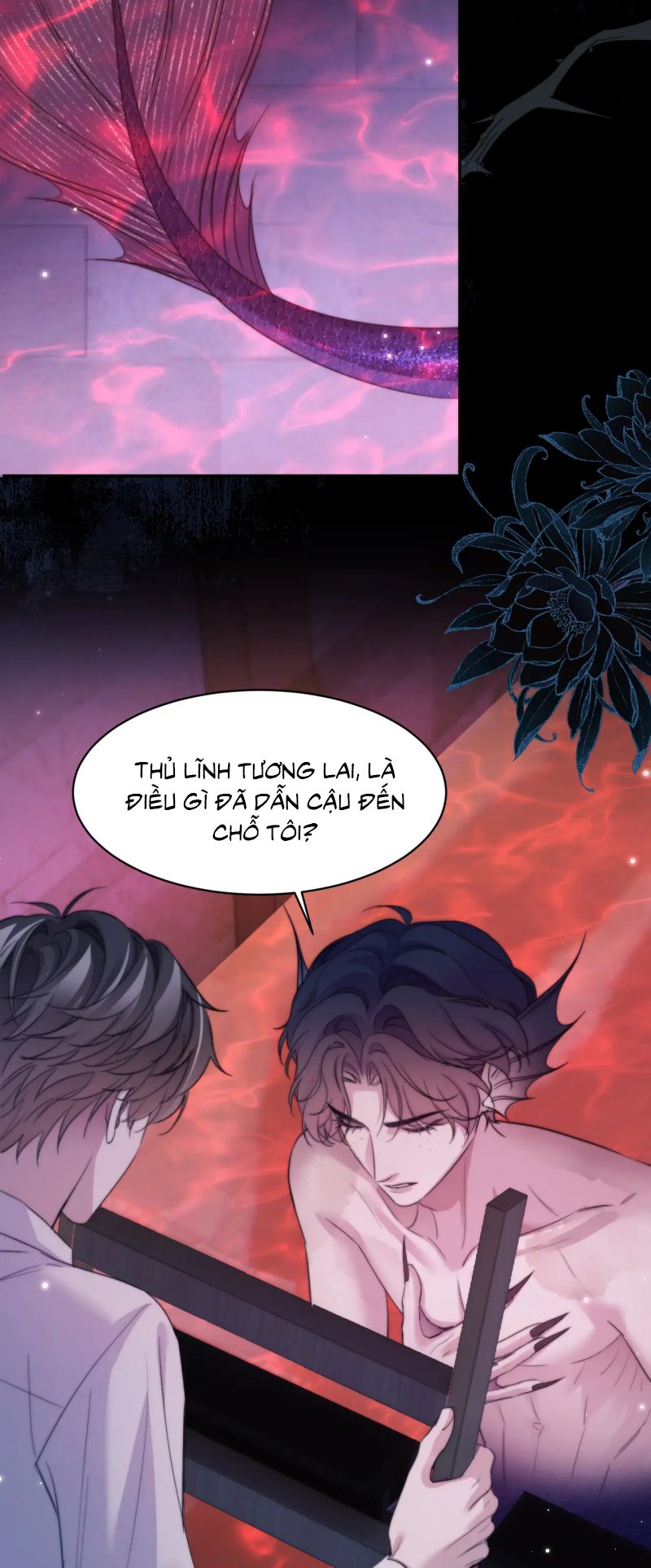 Desharow Nhân Ngư Chap 110 - Trang 3