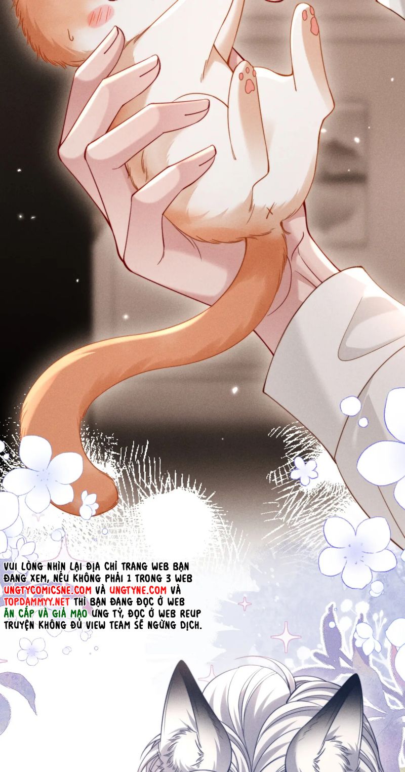 Tật Xấu Nuông Chiều Chap 53 - Trang 3