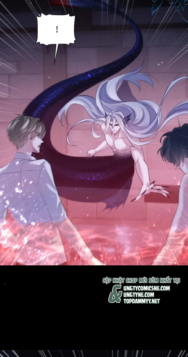 Desharow Nhân Ngư Chap 111 - Trang 3