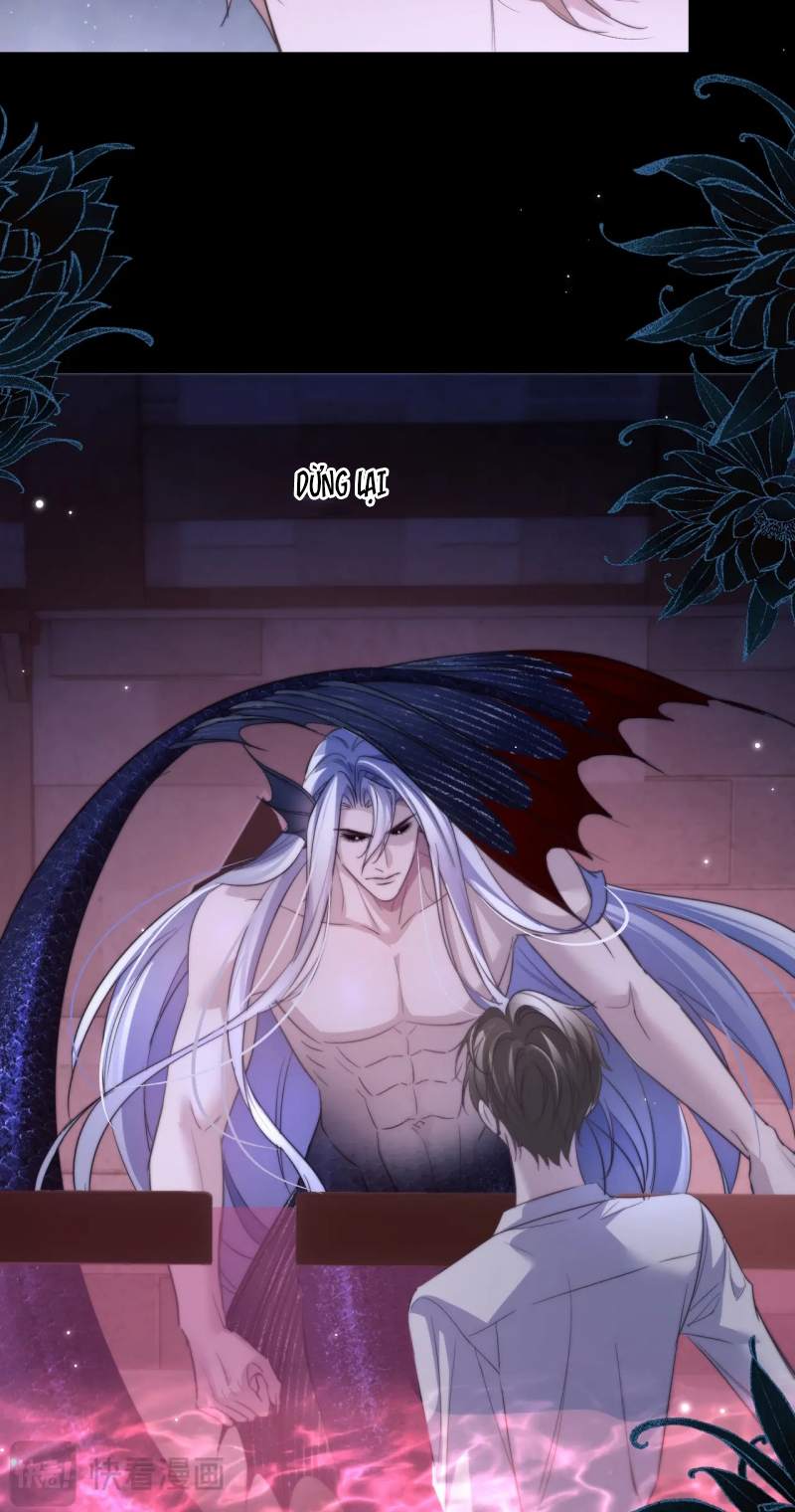 Desharow Nhân Ngư Chap 111 - Trang 3