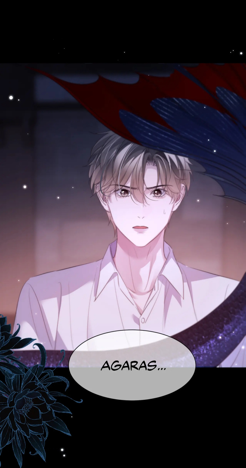 Desharow Nhân Ngư Chap 111 - Trang 3