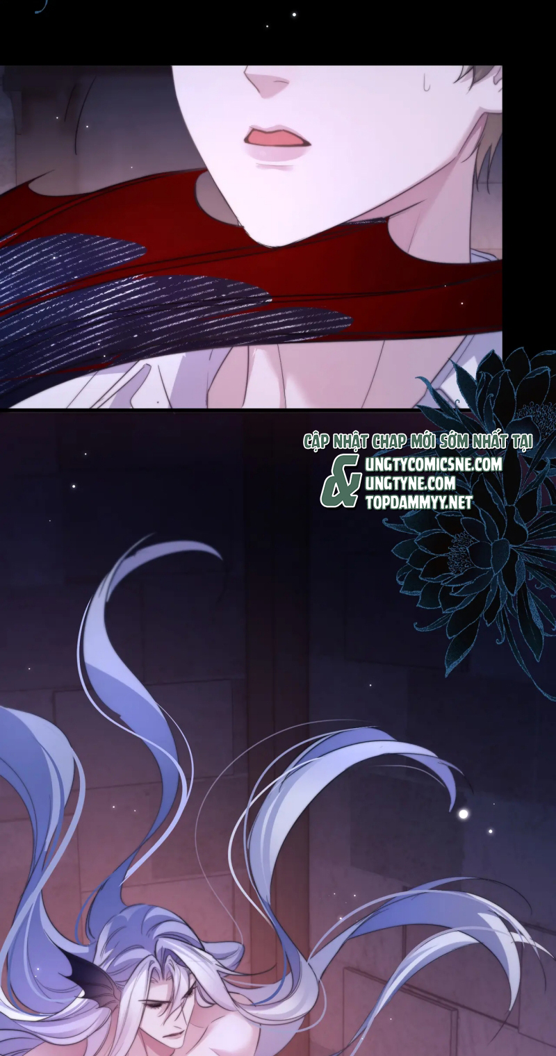 Desharow Nhân Ngư Chap 111 - Trang 3