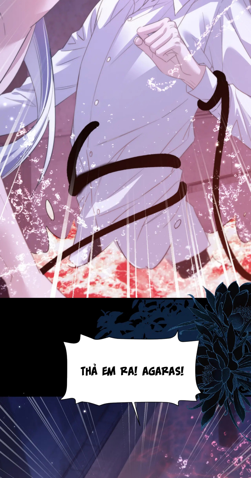 Desharow Nhân Ngư Chap 111 - Trang 3