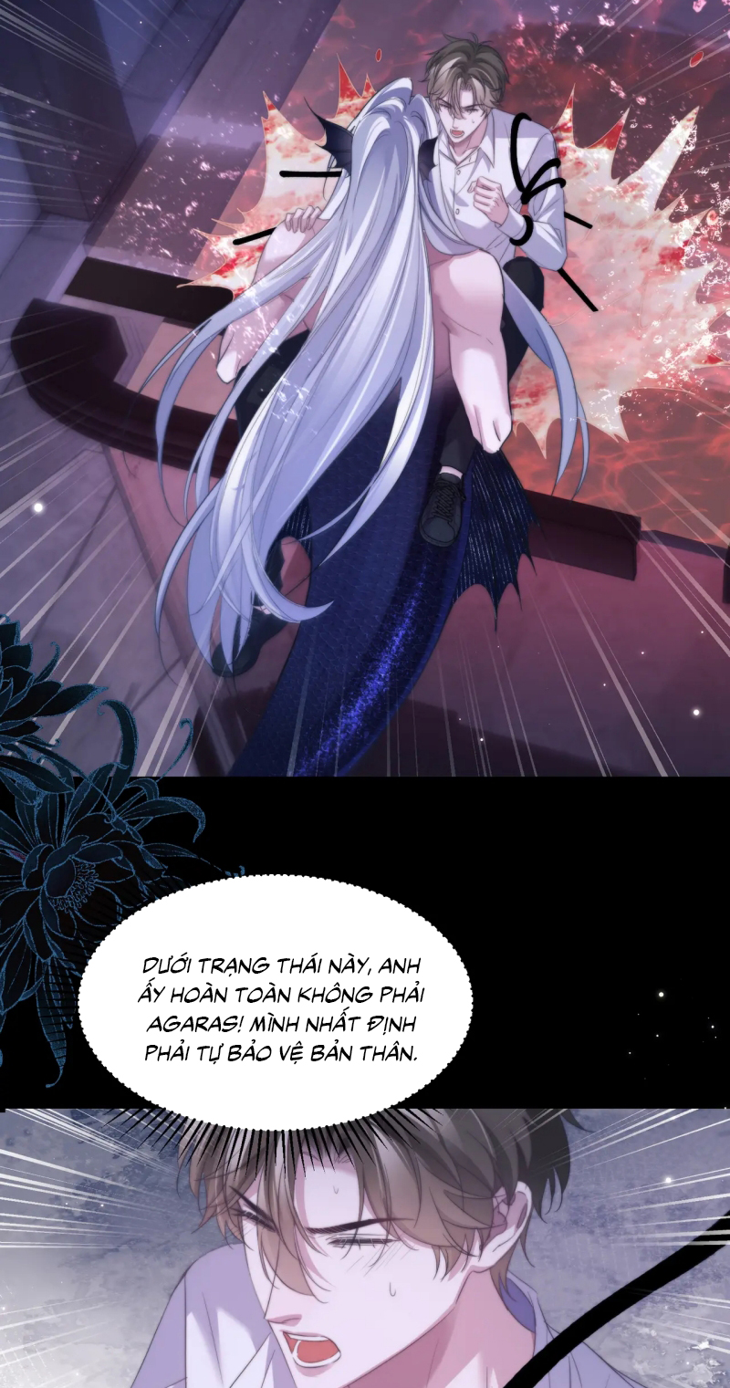 Desharow Nhân Ngư Chap 111 - Trang 3