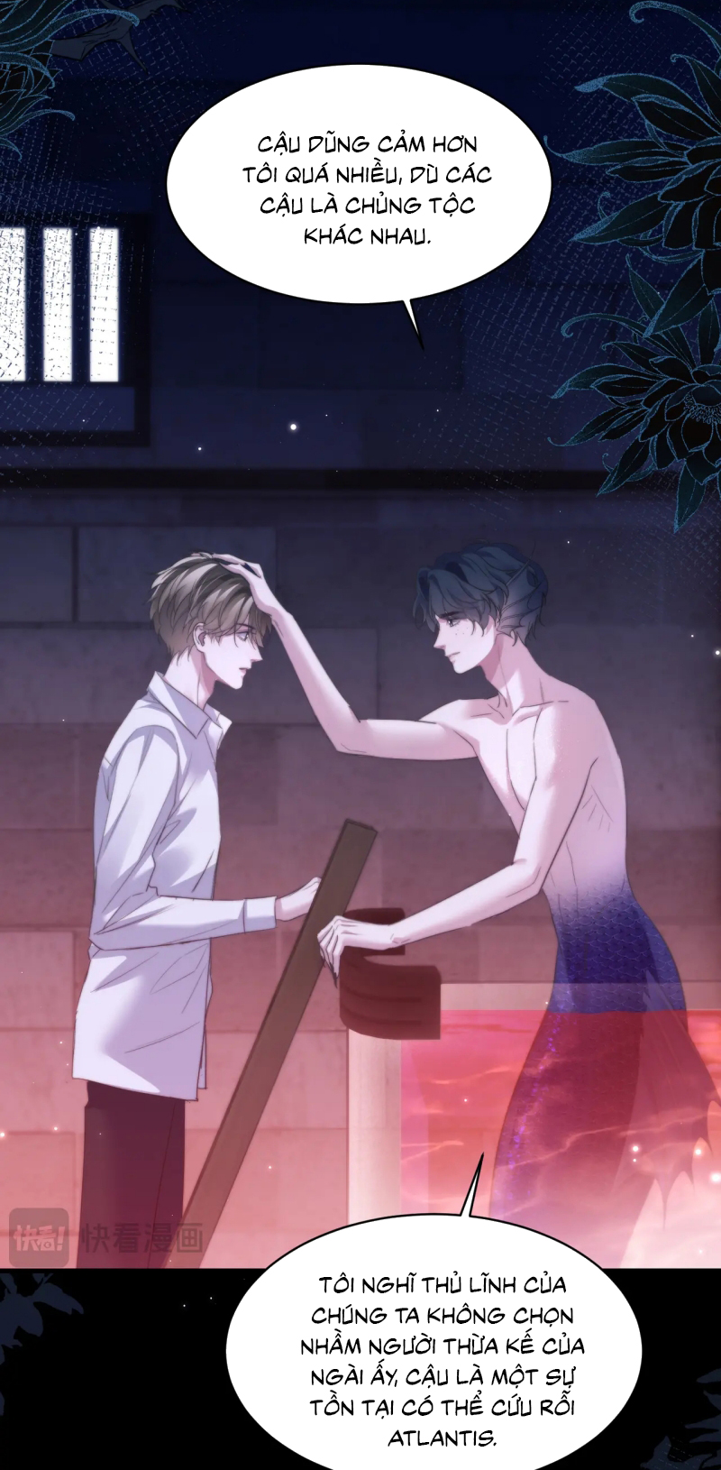 Desharow Nhân Ngư Chap 111 - Trang 3