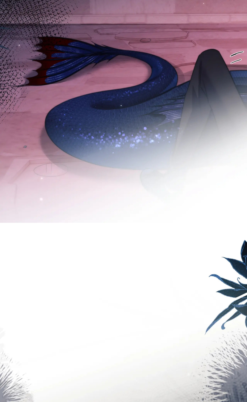 Desharow Nhân Ngư Chap 112 - Next 