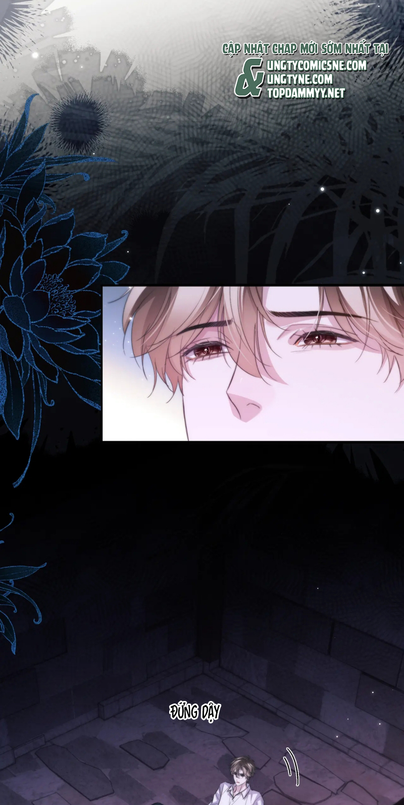 Desharow Nhân Ngư Chap 112 - Next 