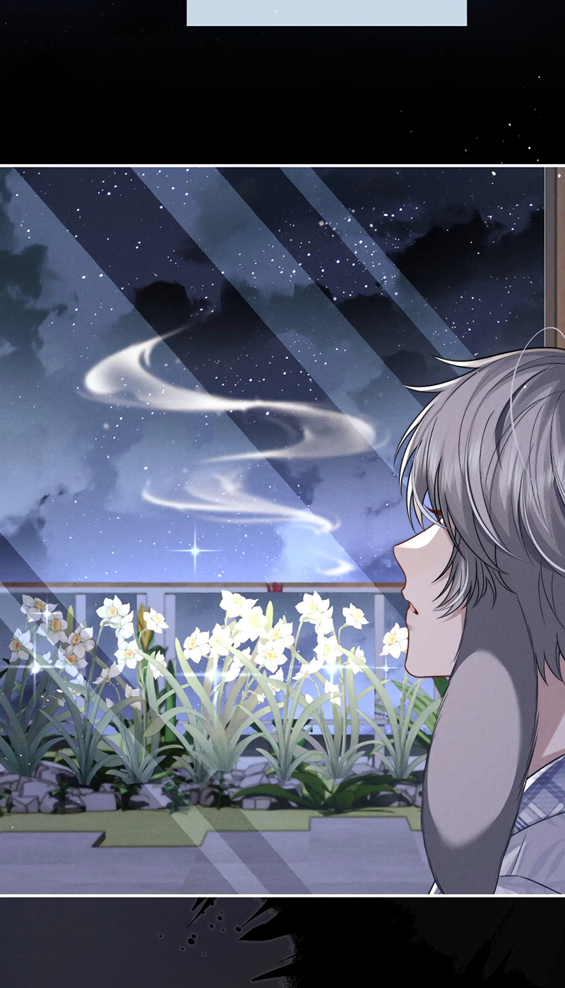Chấp Sự Thỏ Cụp Tai Chap 178 - Next 