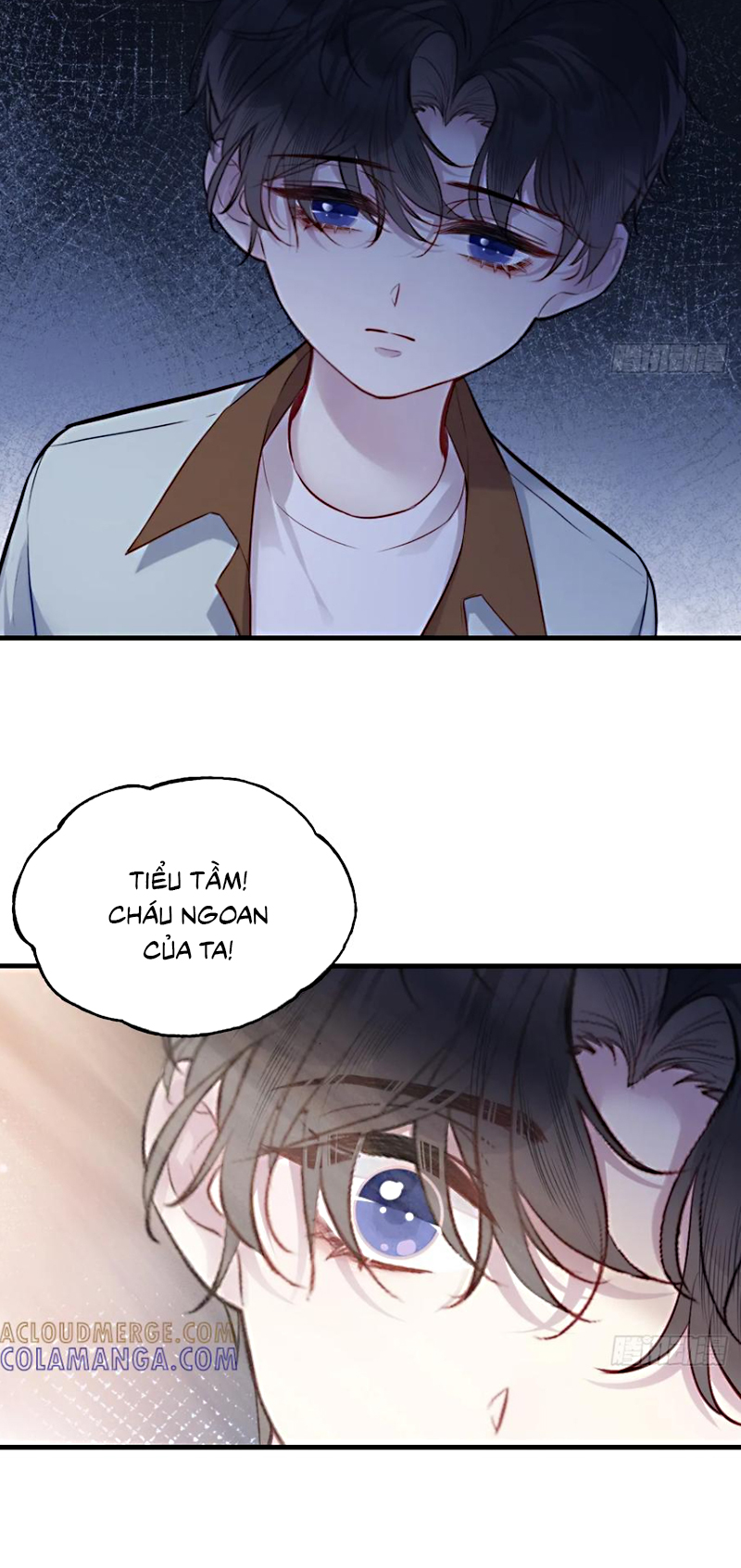 Anh Ấy Chưa Từng Rơi Xuống Chap 139 - Next 