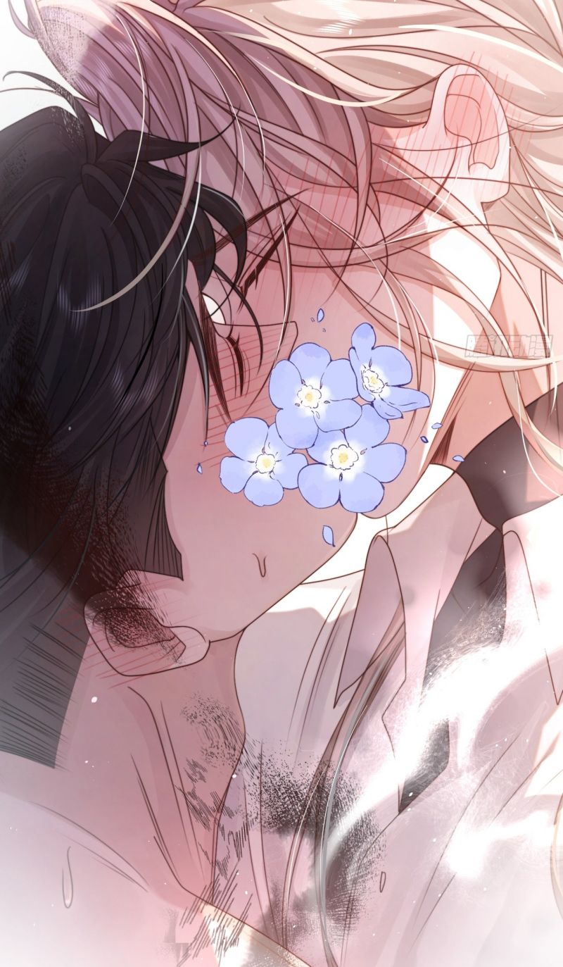 Chim Trong Lồng Chap 1 - Next 